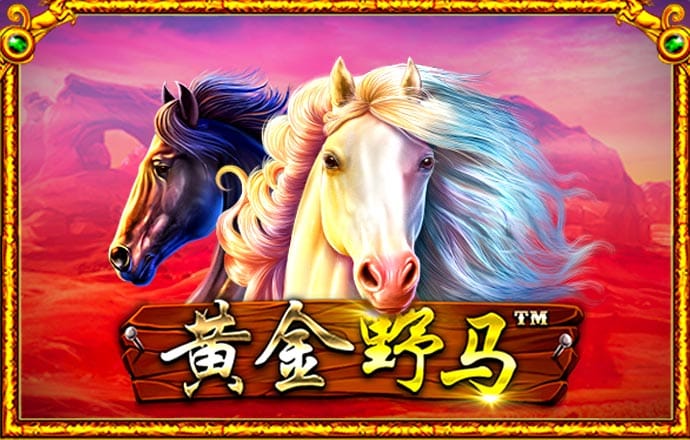 华体绘app官方下载入口